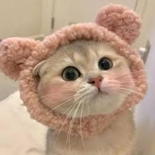 Bimby Aquino avatar